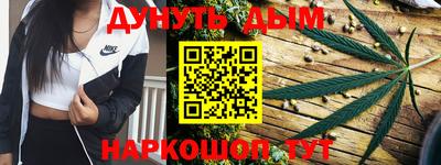 мдпв Донской