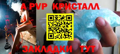 прущие грибы Ачхой-Мартан