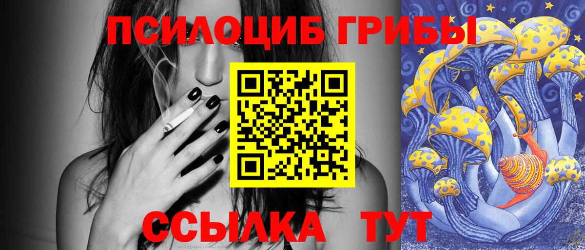 Галлюциногенные грибы Psilocybine cubensis Коркино