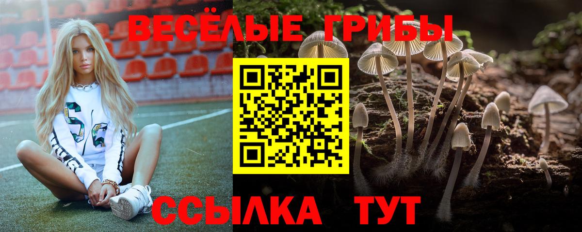 Псилоцибиновые грибы Psilocybine cubensis  Галлюциногенные грибы прущие грибы  Вход с VPN  Коркино 